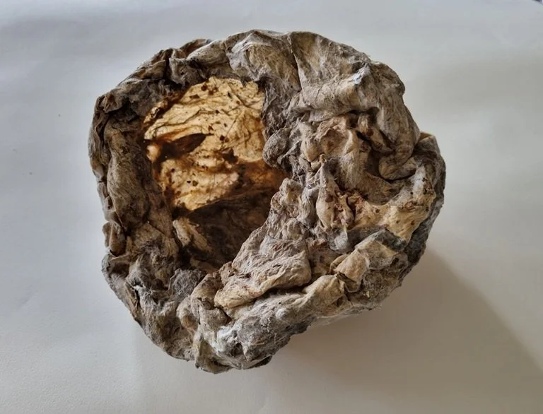 012 Imperfect nest - (23x22x15cm) algen, blad, lijm 