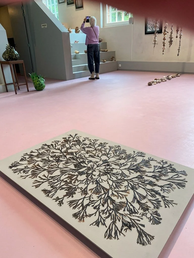 026 Installatie blaaswieren - (200x150cm) expositie Wat We Zien in Nicolaaskerk in Kloosterburen met 6 kunstenaars (kan ook op groot formaat)
