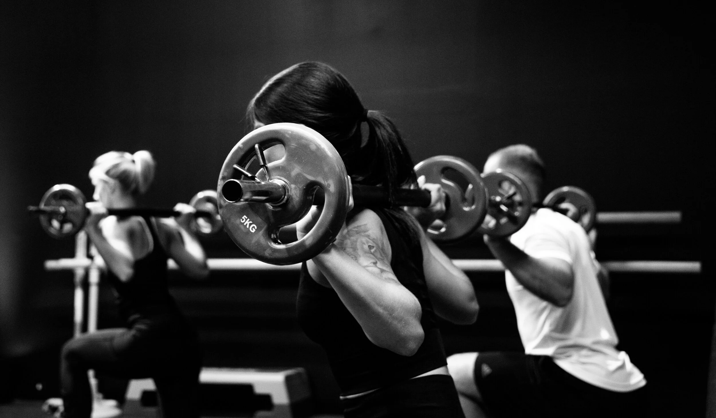 Small Group Personal Training — Evolve Fitness
