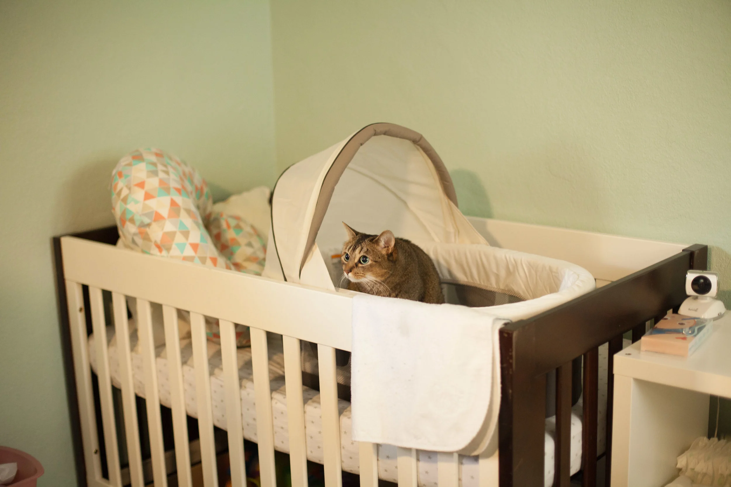 BabyJonas-61.jpg