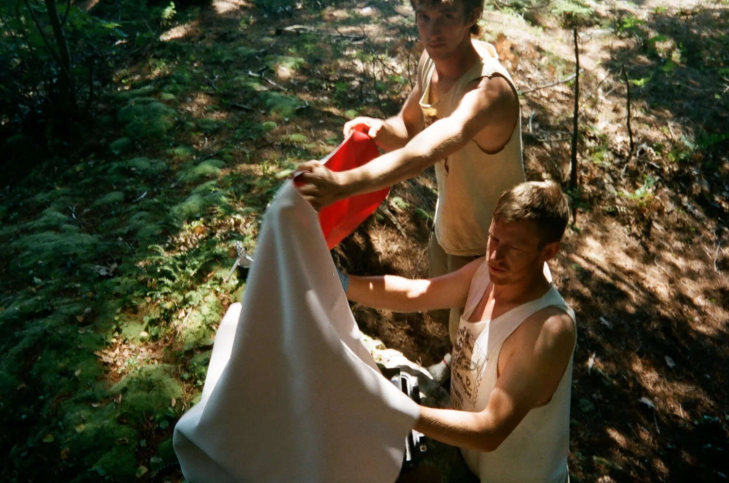 07470036.jpg