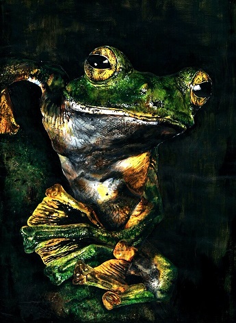 Wallace’s flying frog - Acrylic painting from an original Tim Laman photograph