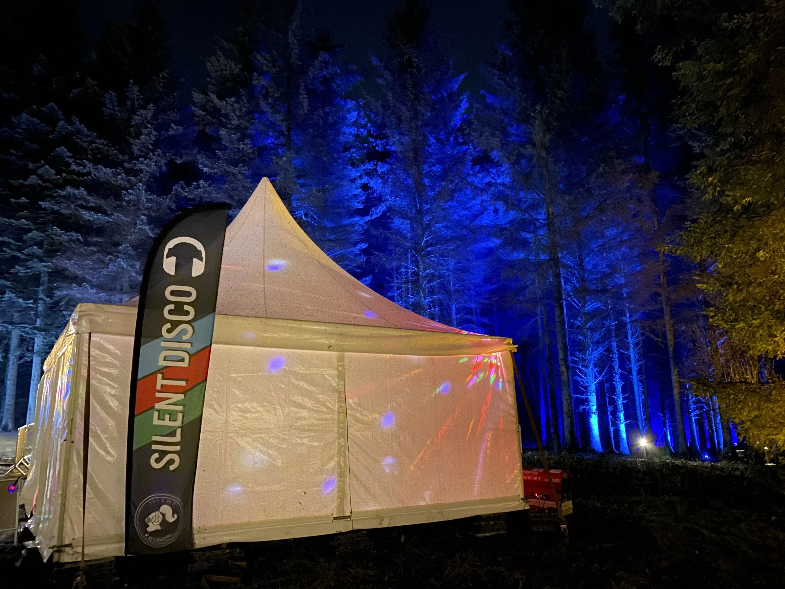 Beecraigs Festive Forest