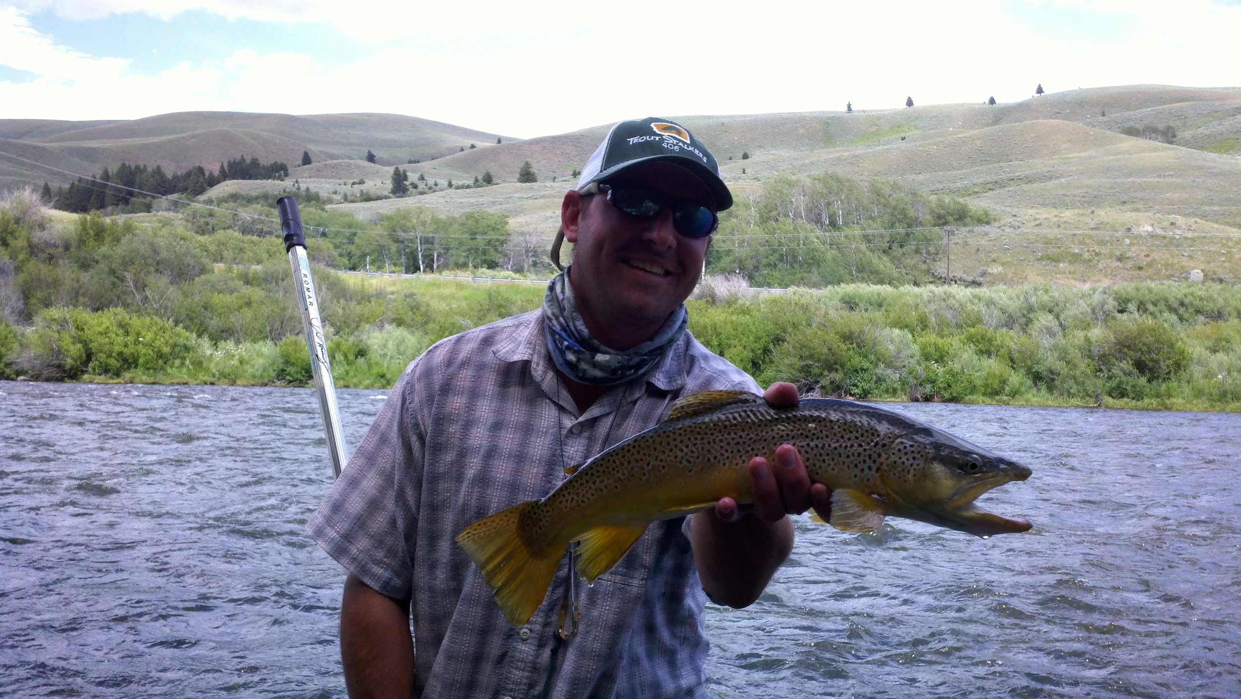Madison River Brown trout