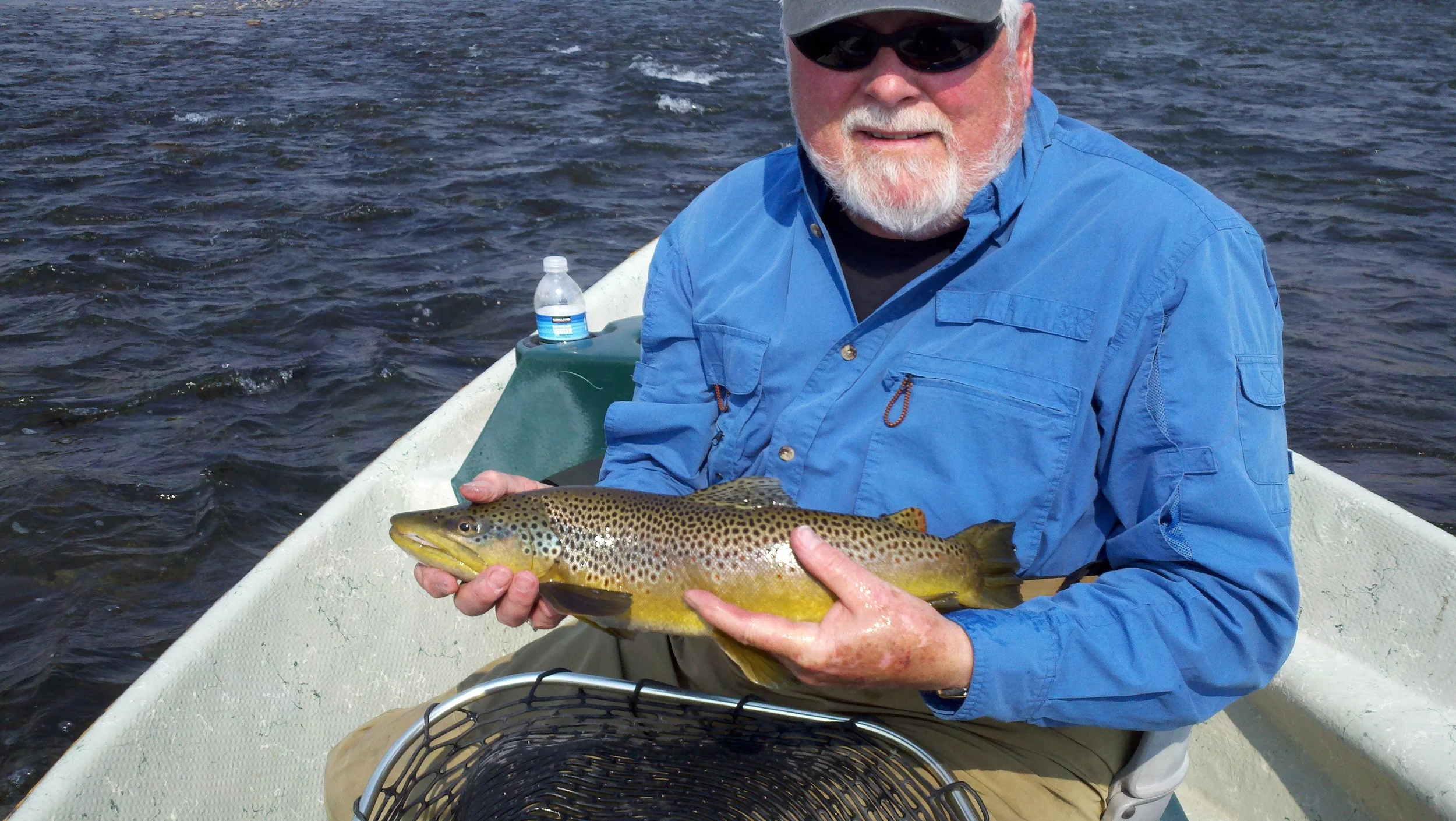 Brown Trout Madison river fly fishing
