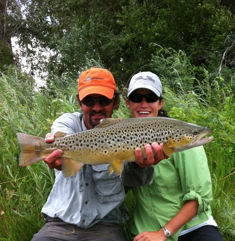 Madison River Brown Trout