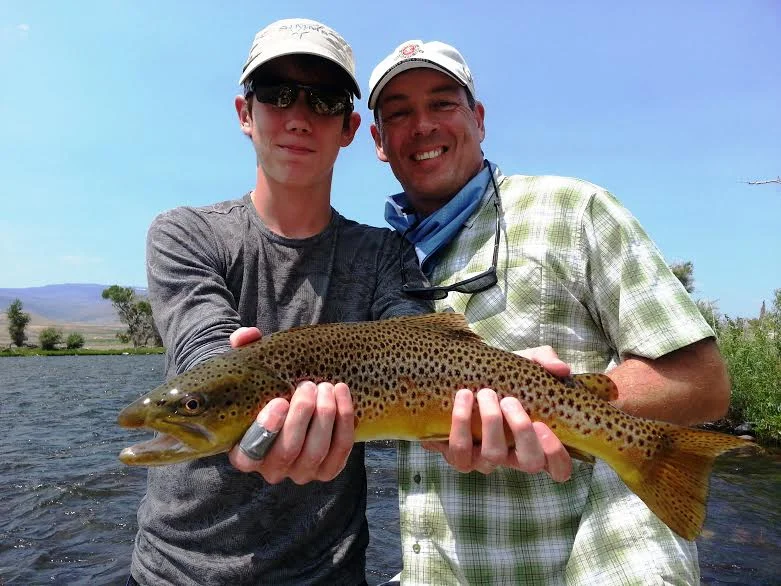 Brown Trout Fly Fishing