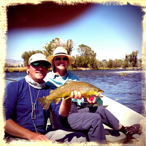 Madison River Brown Trout