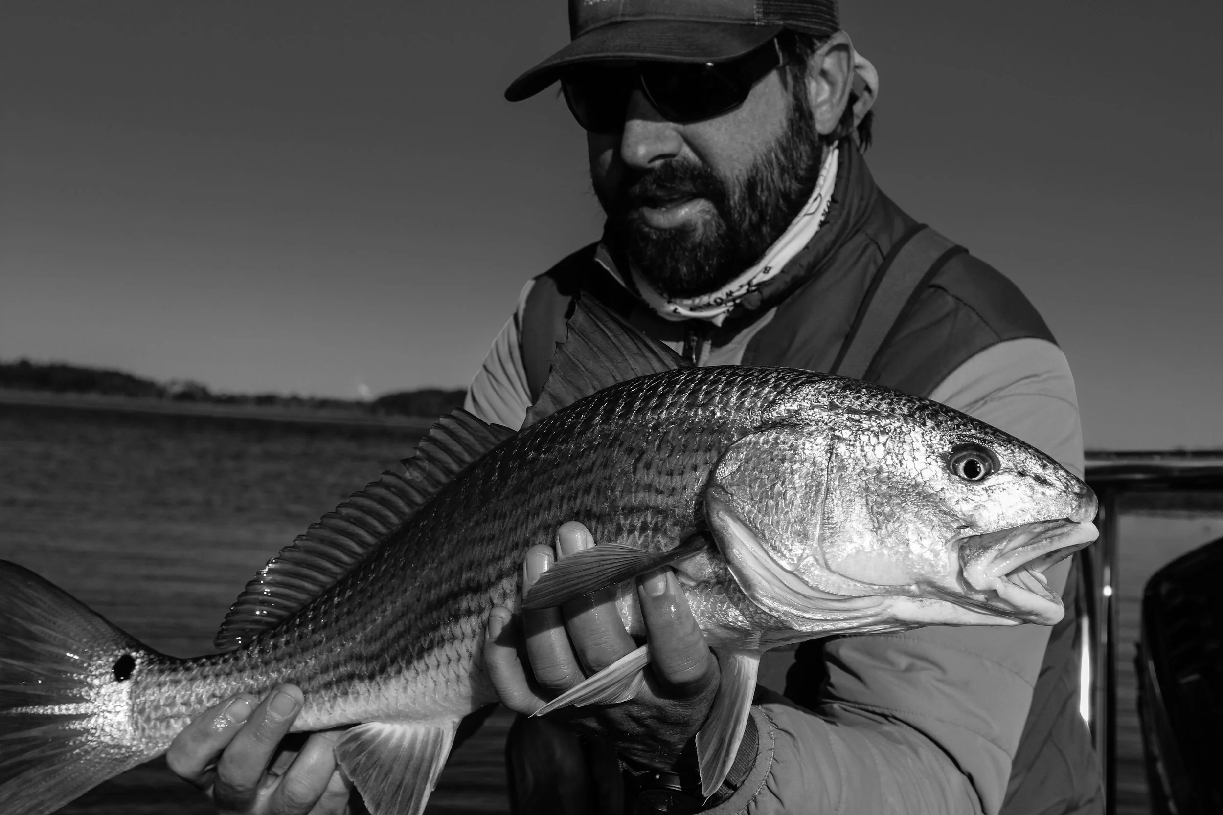 charlestonredfish.jpg