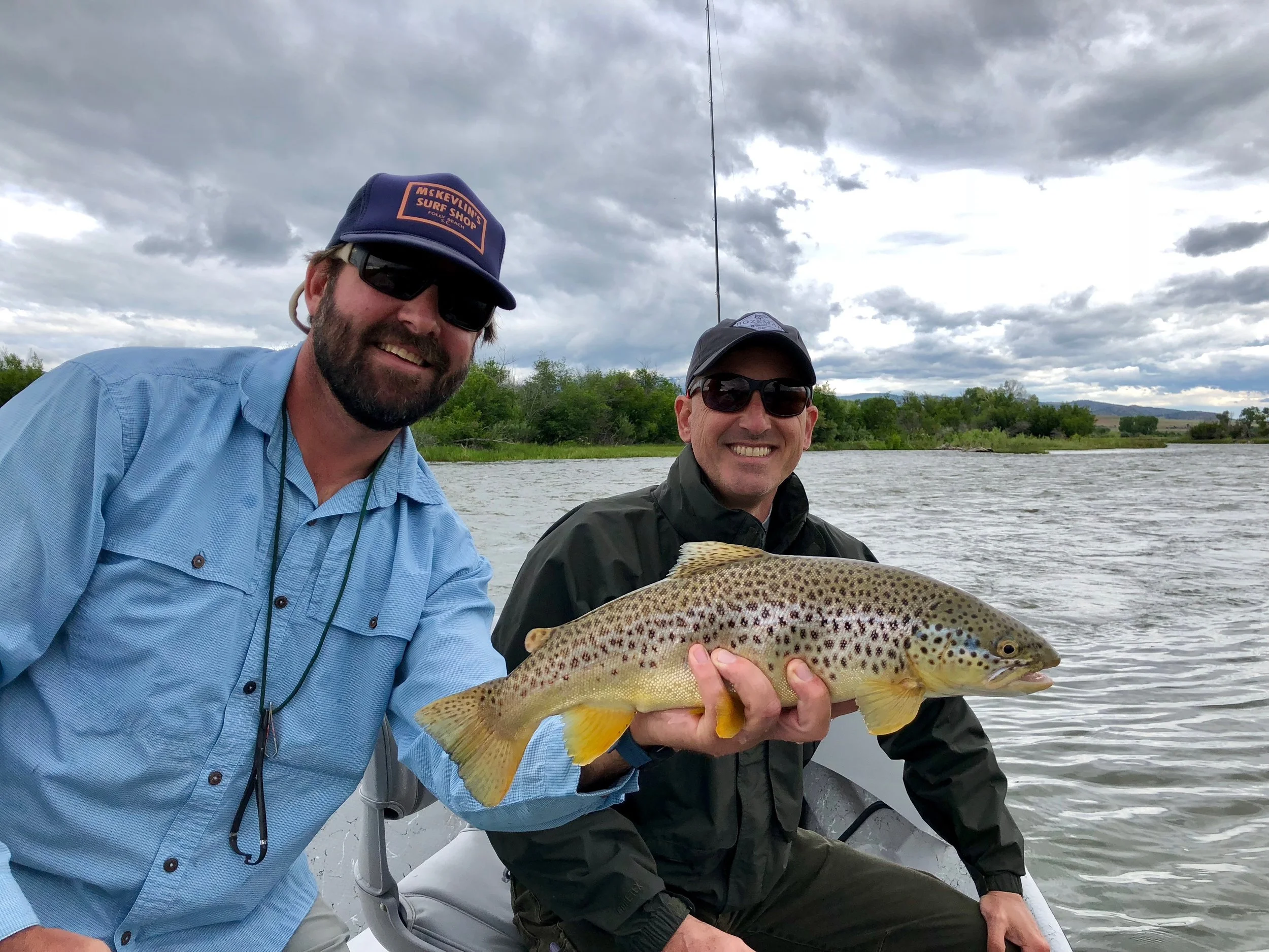Madison River Brown Trout