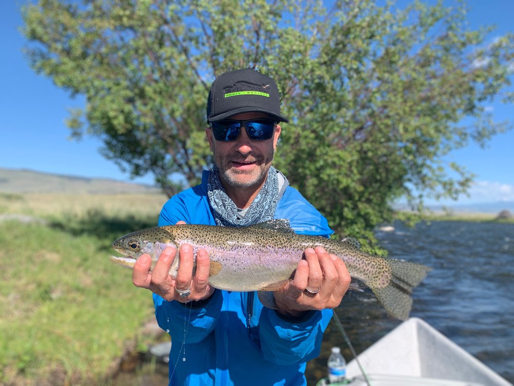 Madison River Rainbow Trout on a small dry fly