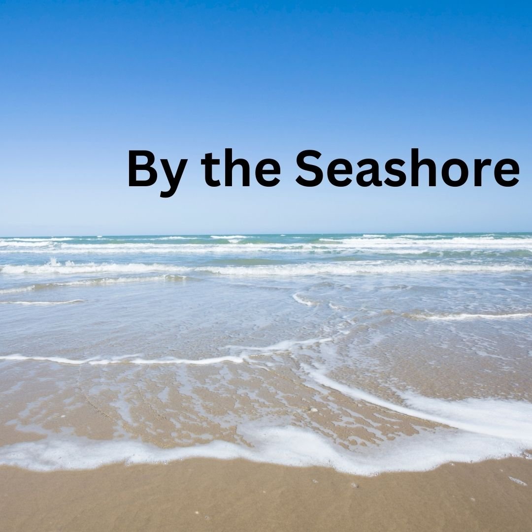  If you love the ocean and all things sand and sun, then this is the class for you.&nbsp; We will read a variety of books that feature the ocean and then create our own beach themed artwork.&nbsp; From shell painting to sand castle making, this week 