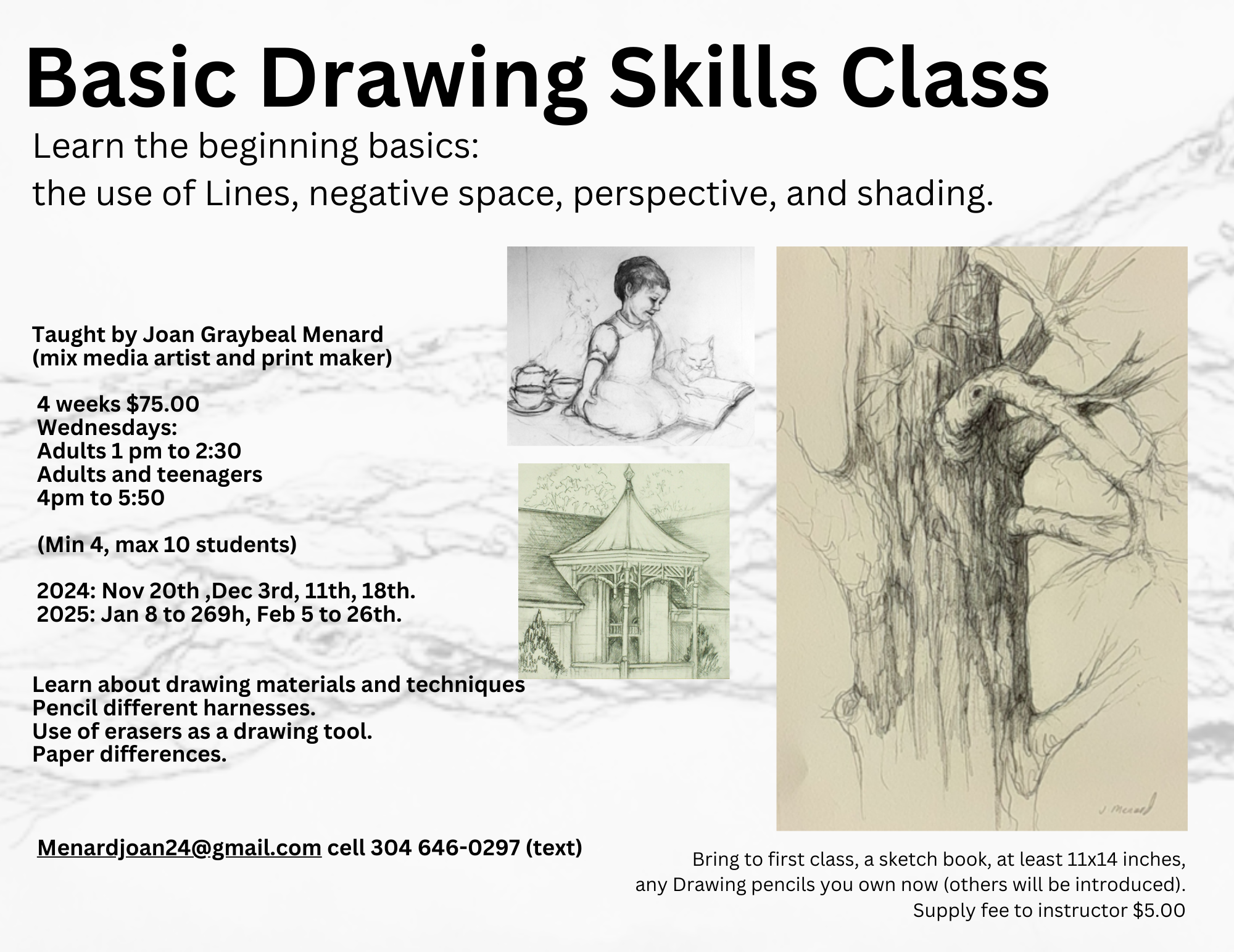Adult Classes — Shenandoah Valley Art Center
