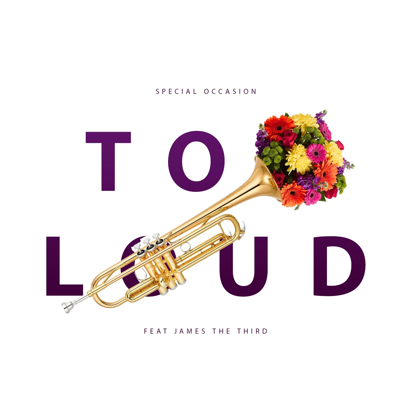 Too Loud.jpg