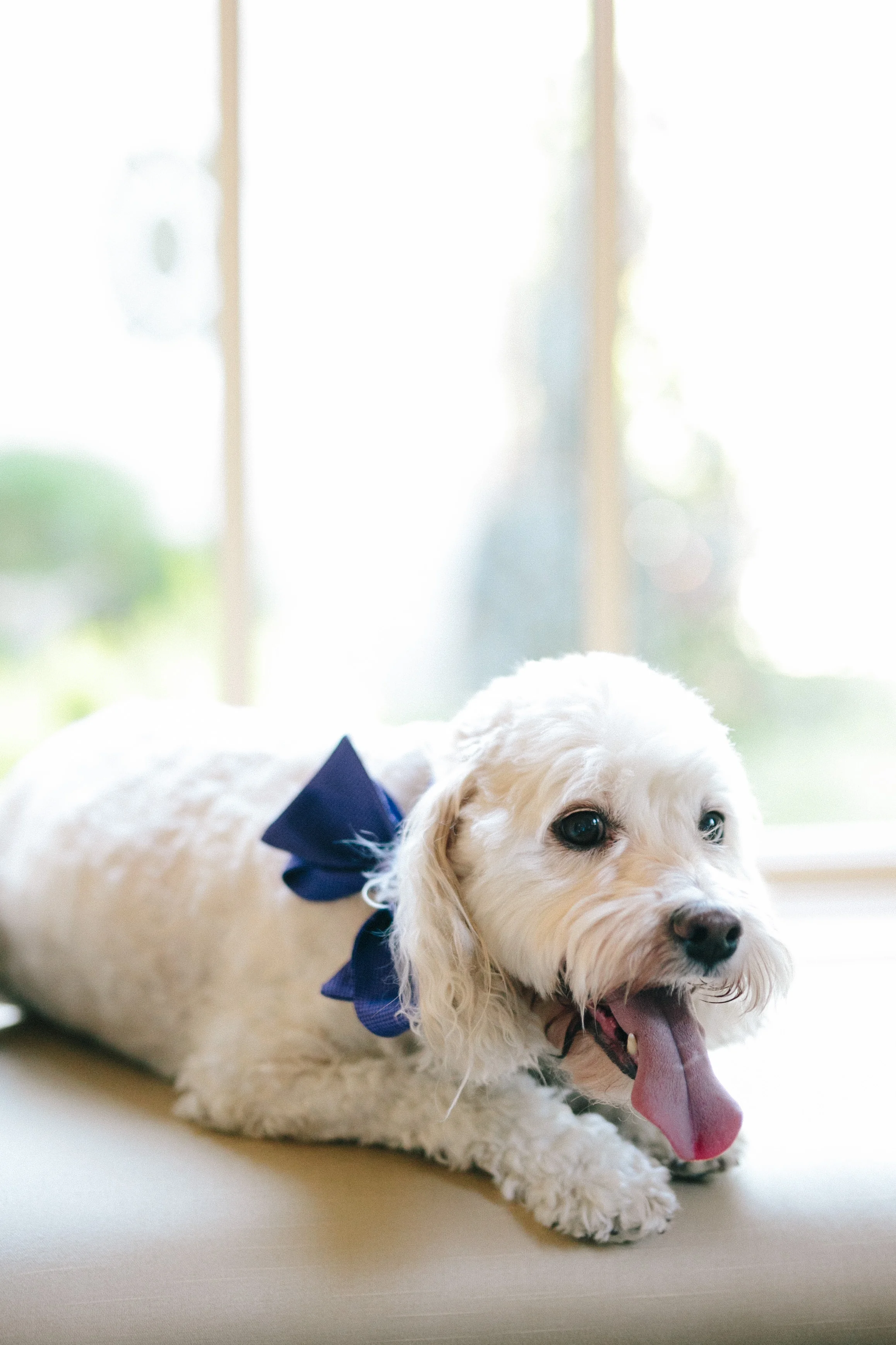 Sandy, Utah Wedding | Jacque Lynn Photography | Michelle Leo Events | Utah Wedding Designer and Event Planner