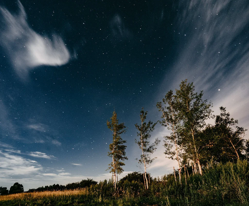 Twilight Moon Ranch Wedding | Joshua Brown Photography | Michelle Leo Events | Utah Wedding Design and Planning