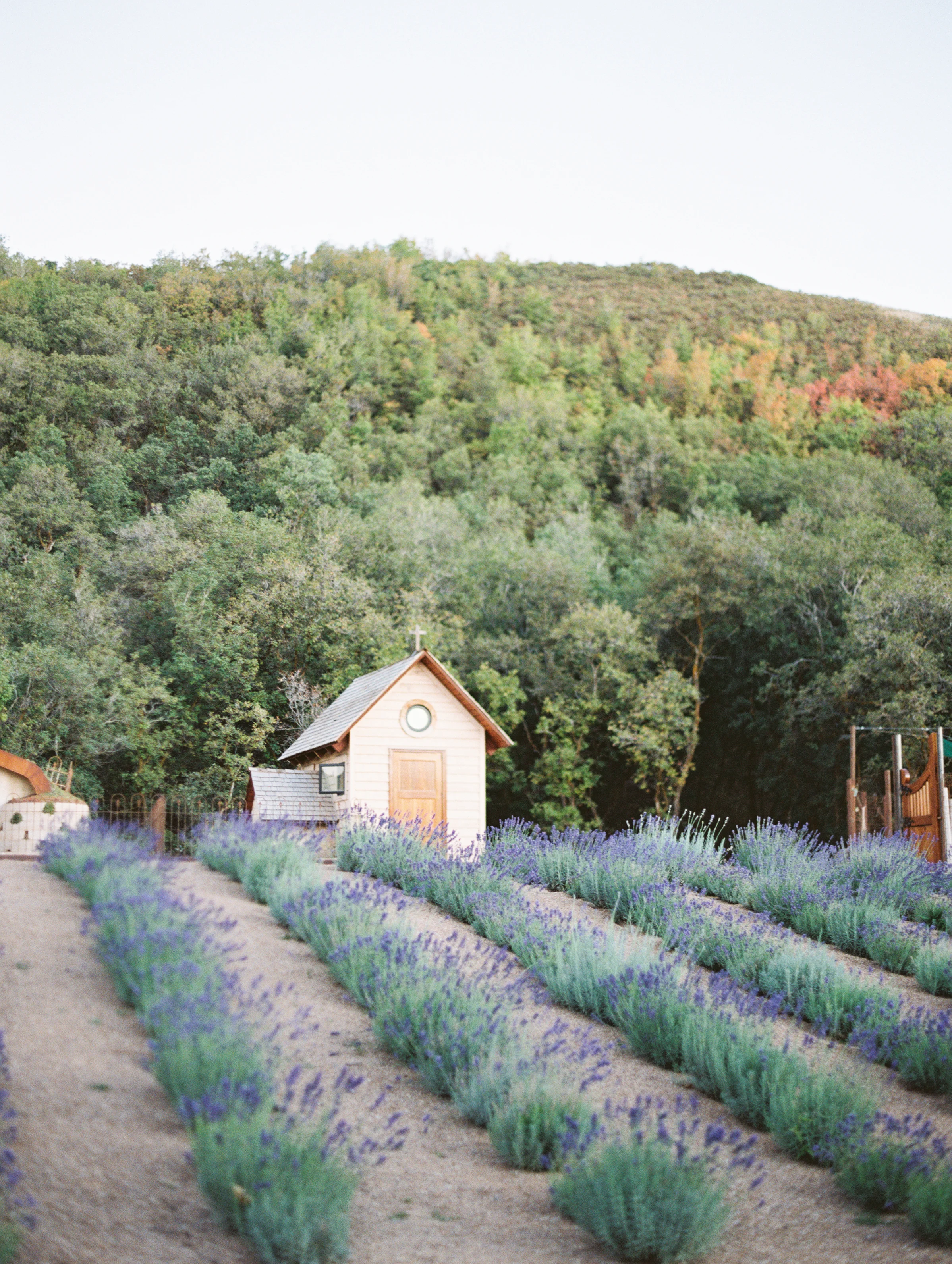 Wedding Details Inspired by Italy | D’Arcy Benincosa | Michelle Leo Events | Utah Wedding Planning and Design