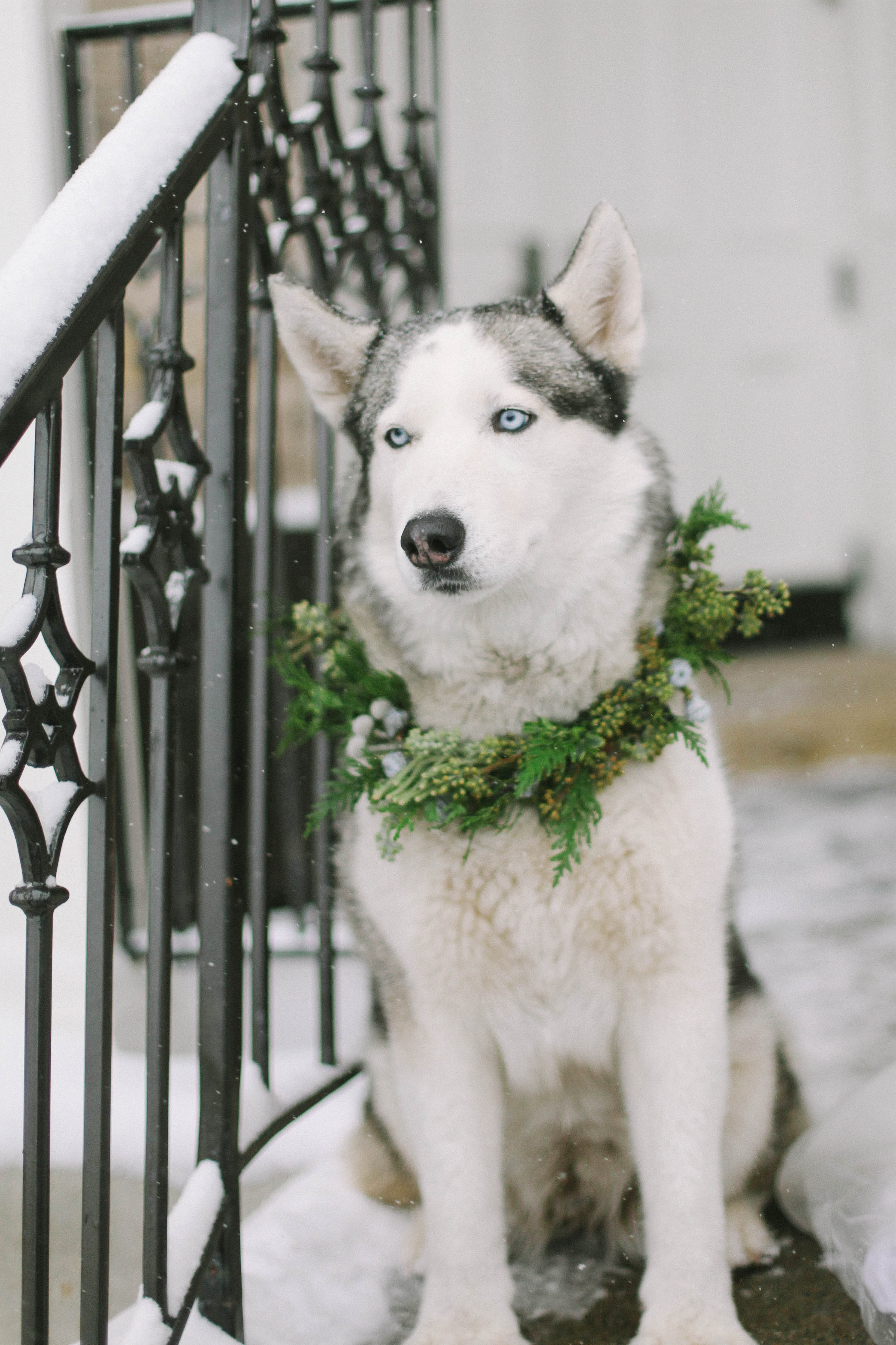 Cozy Winter Wedding Inspiration | Romantic Winter Wedding Inspiration | Washington Schoolhouse Wedding | Michelle Leo Events | Utah Event Planner and Designer | Jacque Lynn Photography