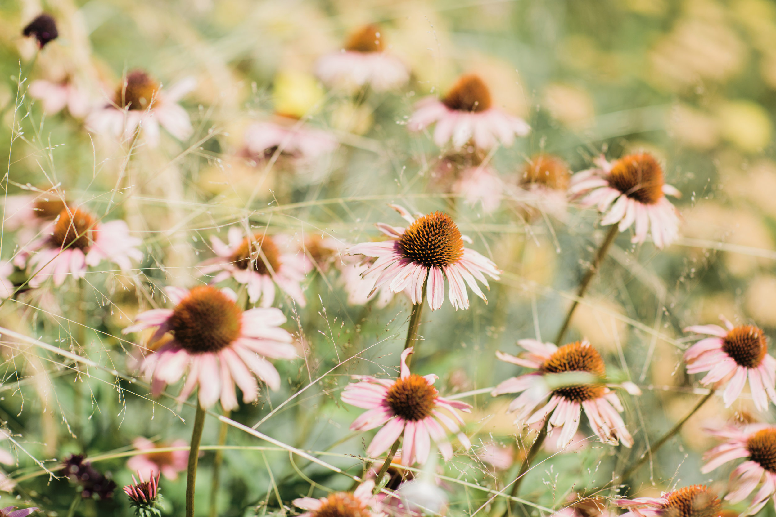 Bohemian-Desert Inspired Bridal Brunch | Rocky Mountain Bride Magazine | Boho Wedding Inspiration | Michelle Leo Events | Utah Event Planner and Designer | Alixann Loosle Photography