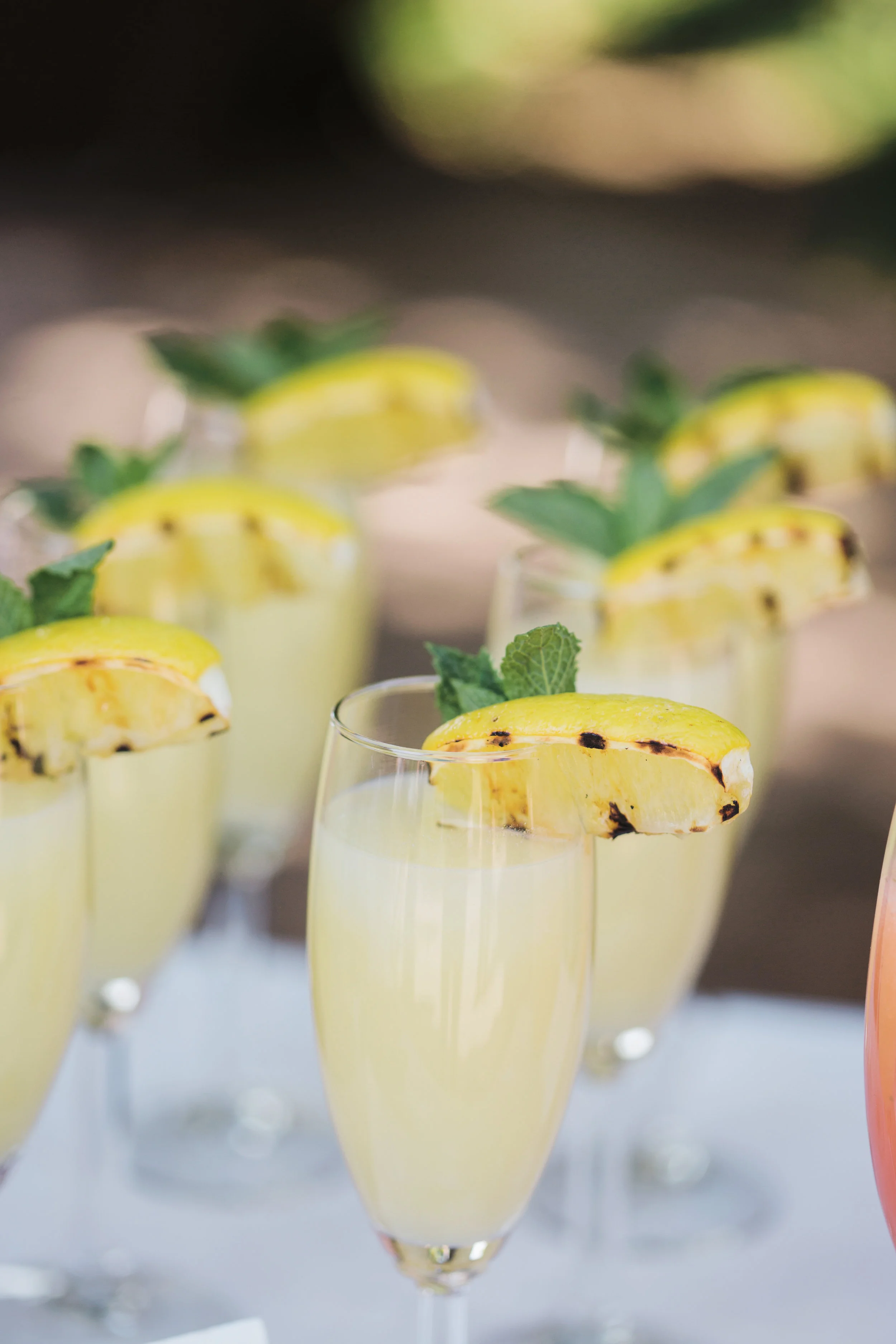 Bohemian-Desert Inspired Bridal Brunch Bites | Rocky Mountain Bride Magazine | Boho Wedding Inspiration | Michelle Leo Events | Utah Event Planner and Designer | Alixann Loosle Photography
