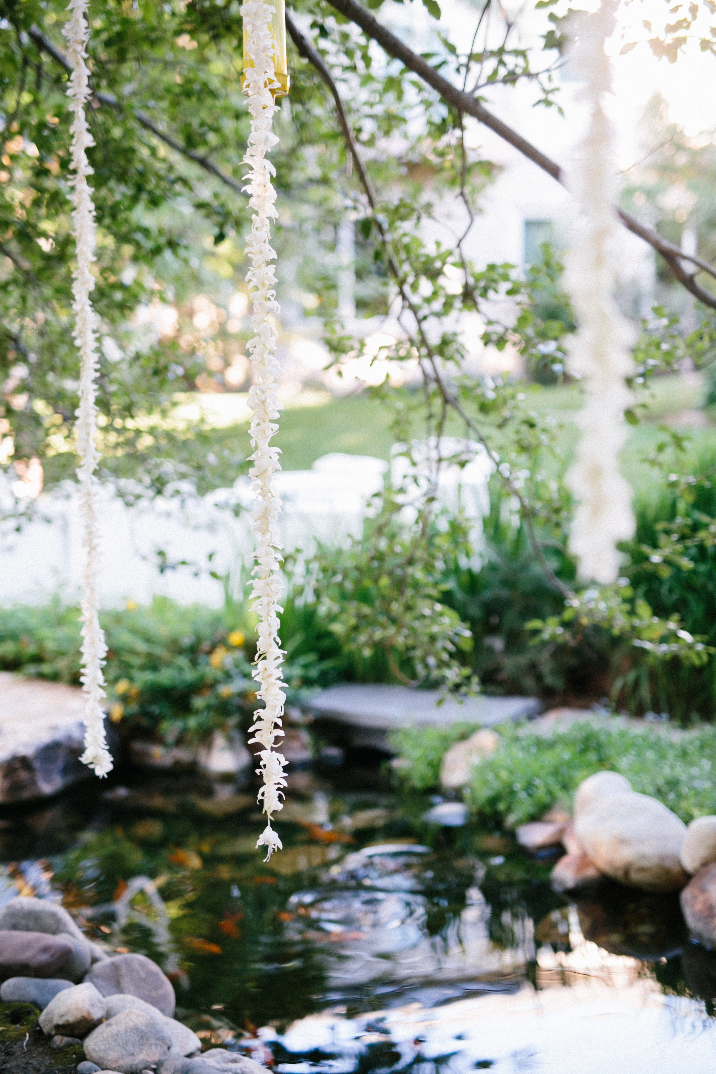 Backyard Wedding | Summer Wedding | Michelle Leo Events | Utah Event Planner and Designer | Jacque Lynn Photography