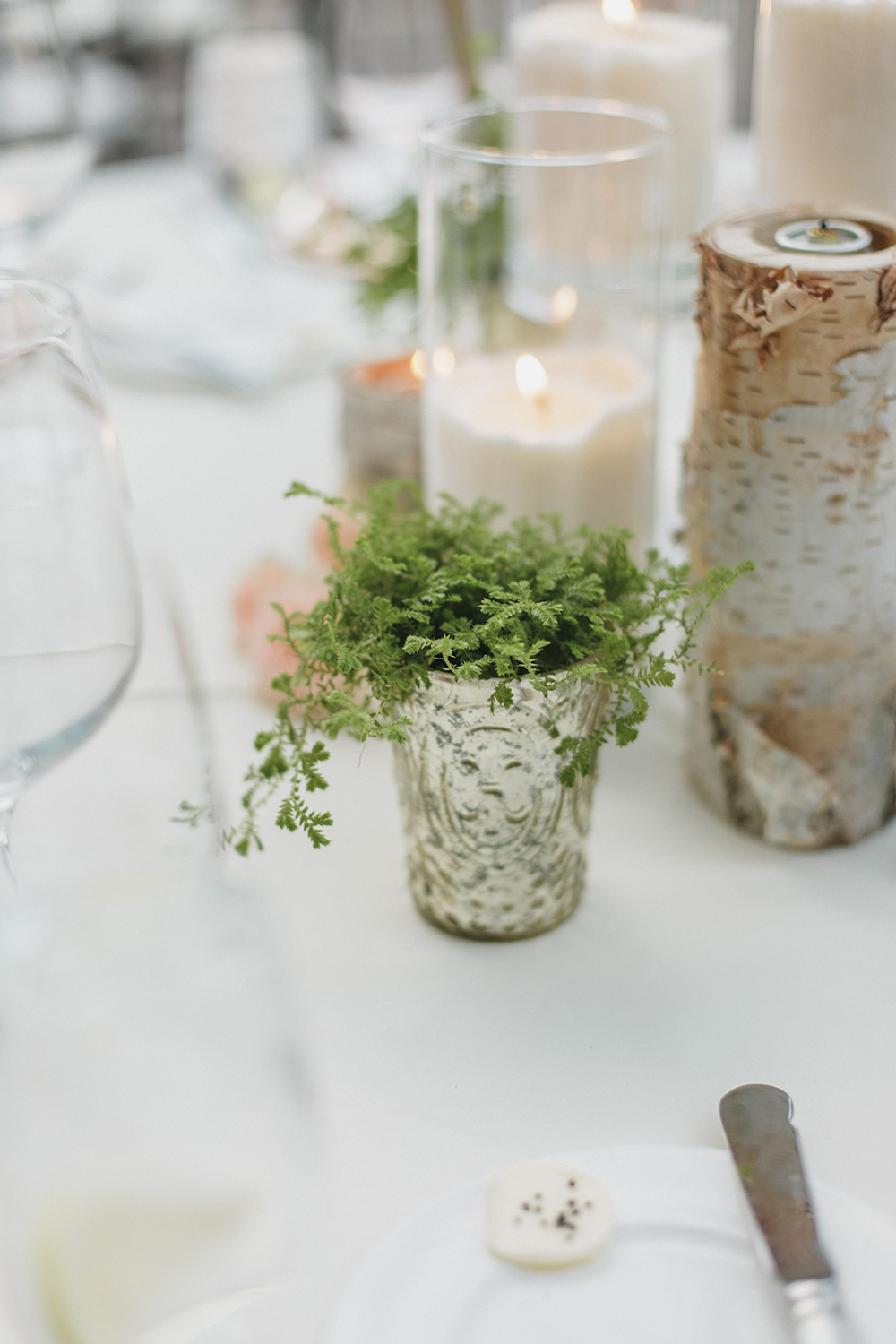 Fall Wedding | Mountain Wedding | Blush and Burgundy | Deer Valley | Michelle Leo Events | Utah Event Planner and Designer | Alixann Loosle Photography