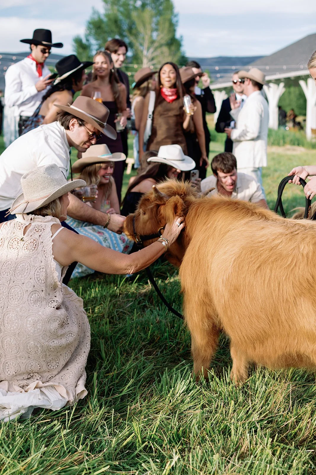 Wedding guests wearing Western-inspired attire and cowboy hats interact with an adorable Highland cow during a luxury wedding welcome party at River Bottoms Ranch in Utah. This unique animal encounter was part of a personalized destination wedding we