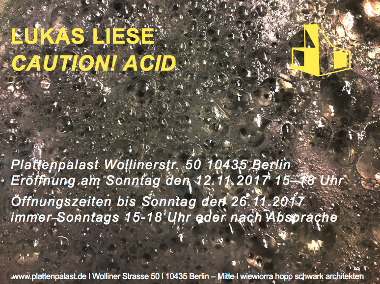 Lukas Liese Plattenpalast Caution Acid Einzelausstellung.png