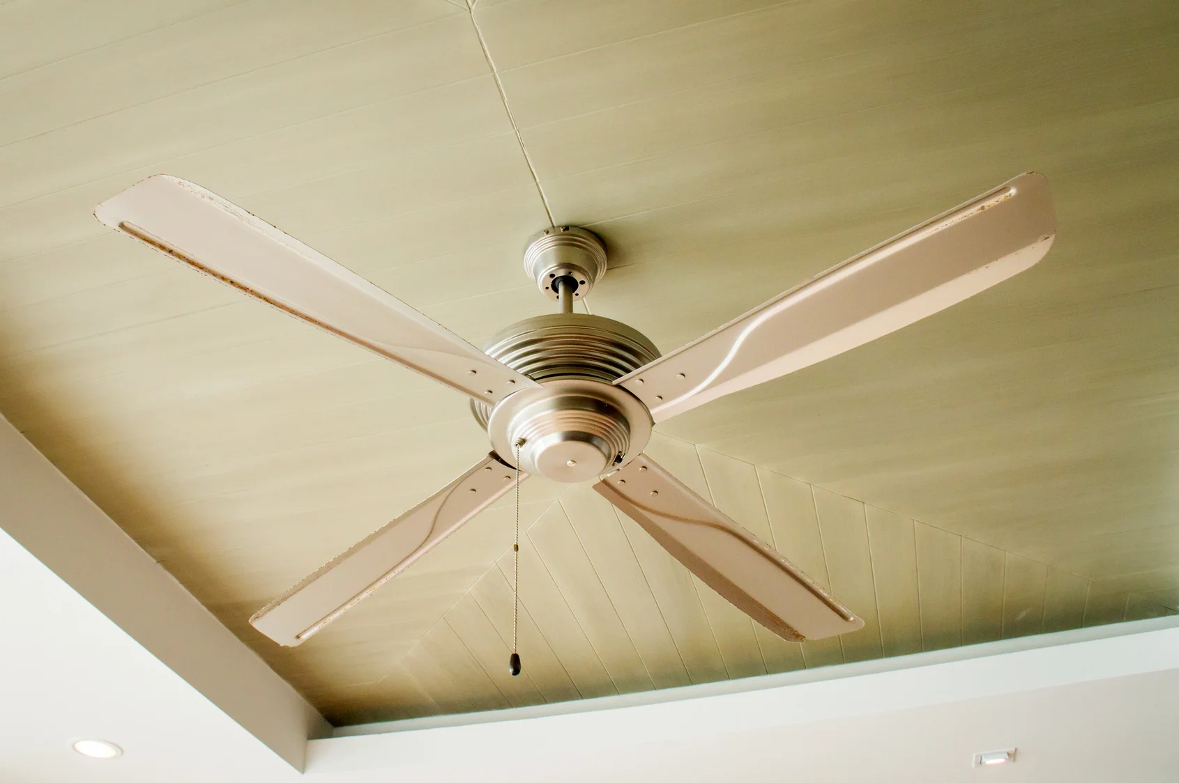 ceilingFan.jpg