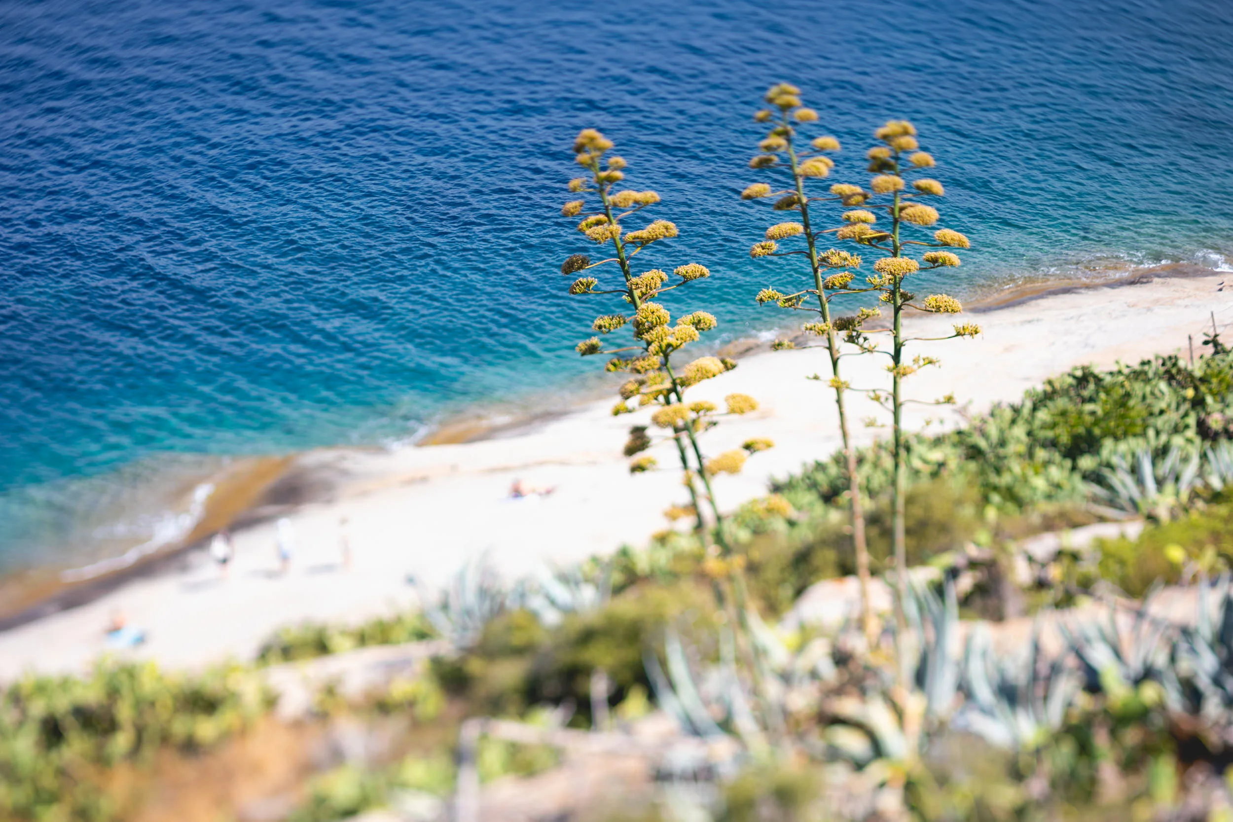 corsica.romain.2021.07-29.jpg