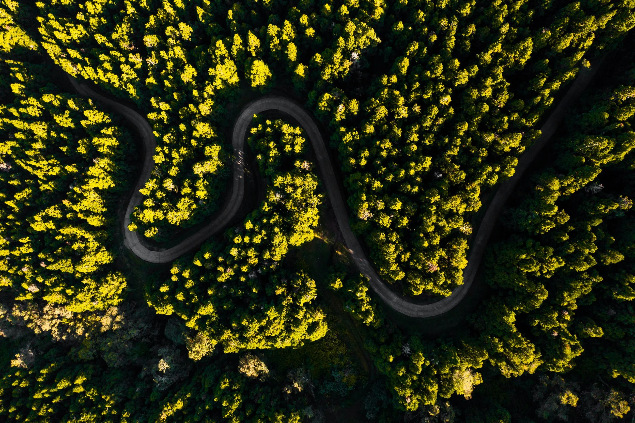 02012022-DJI_0921.jpg