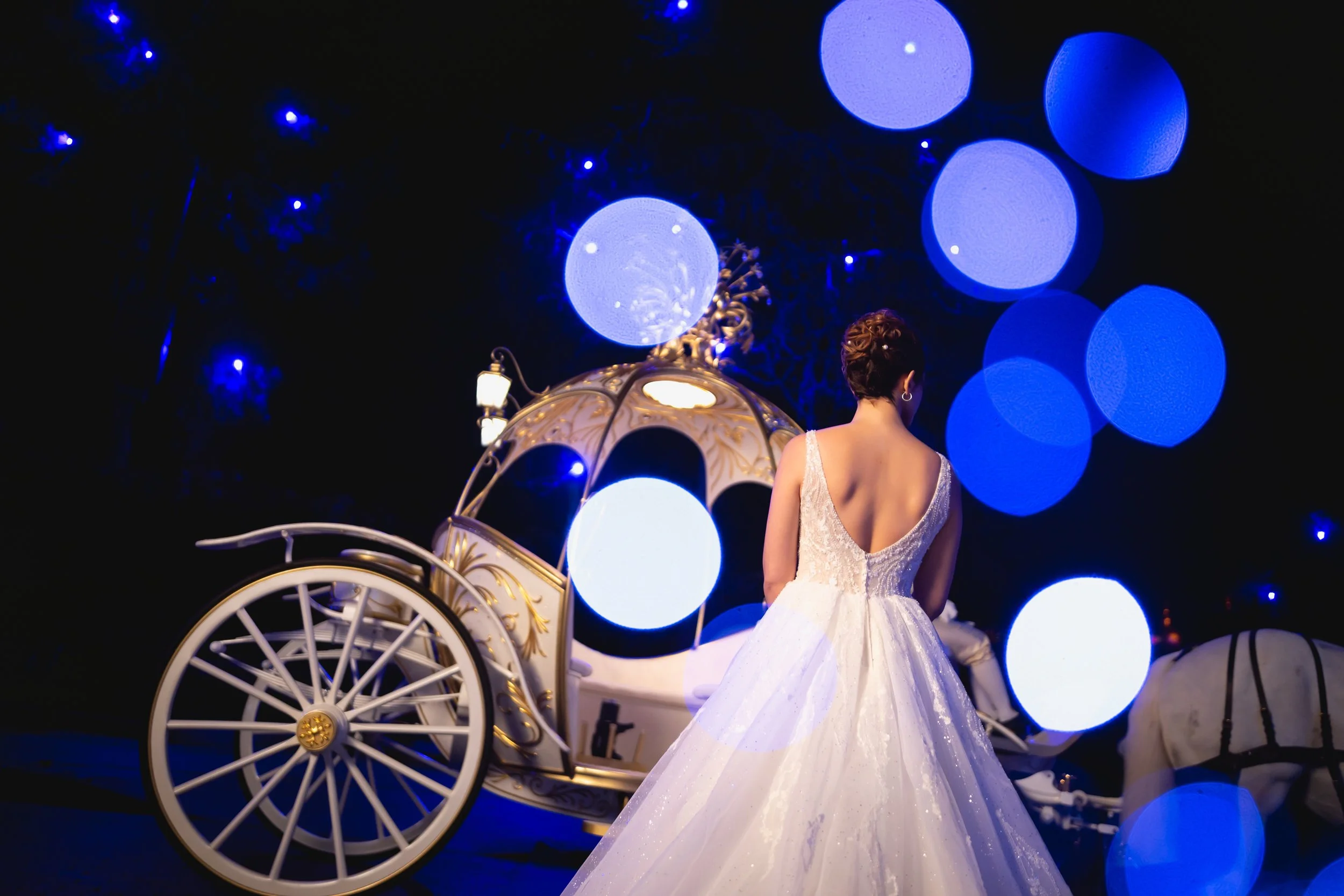 dlp.disney's fairy tale weddings.2022.01-7.jpg