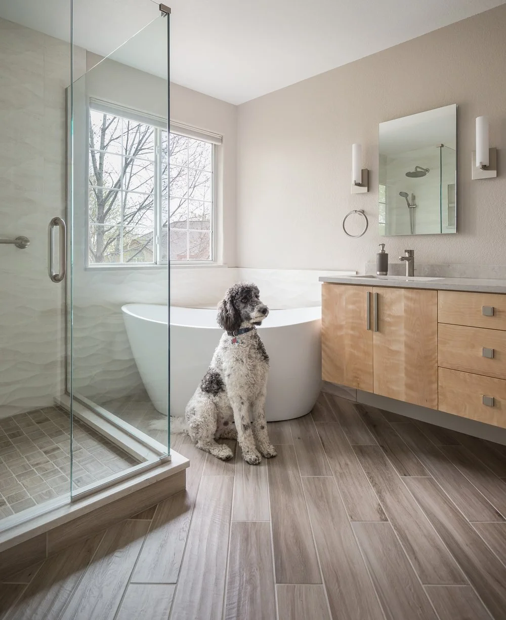 dog-modern-bath-photo-by-tgimage.jpg
