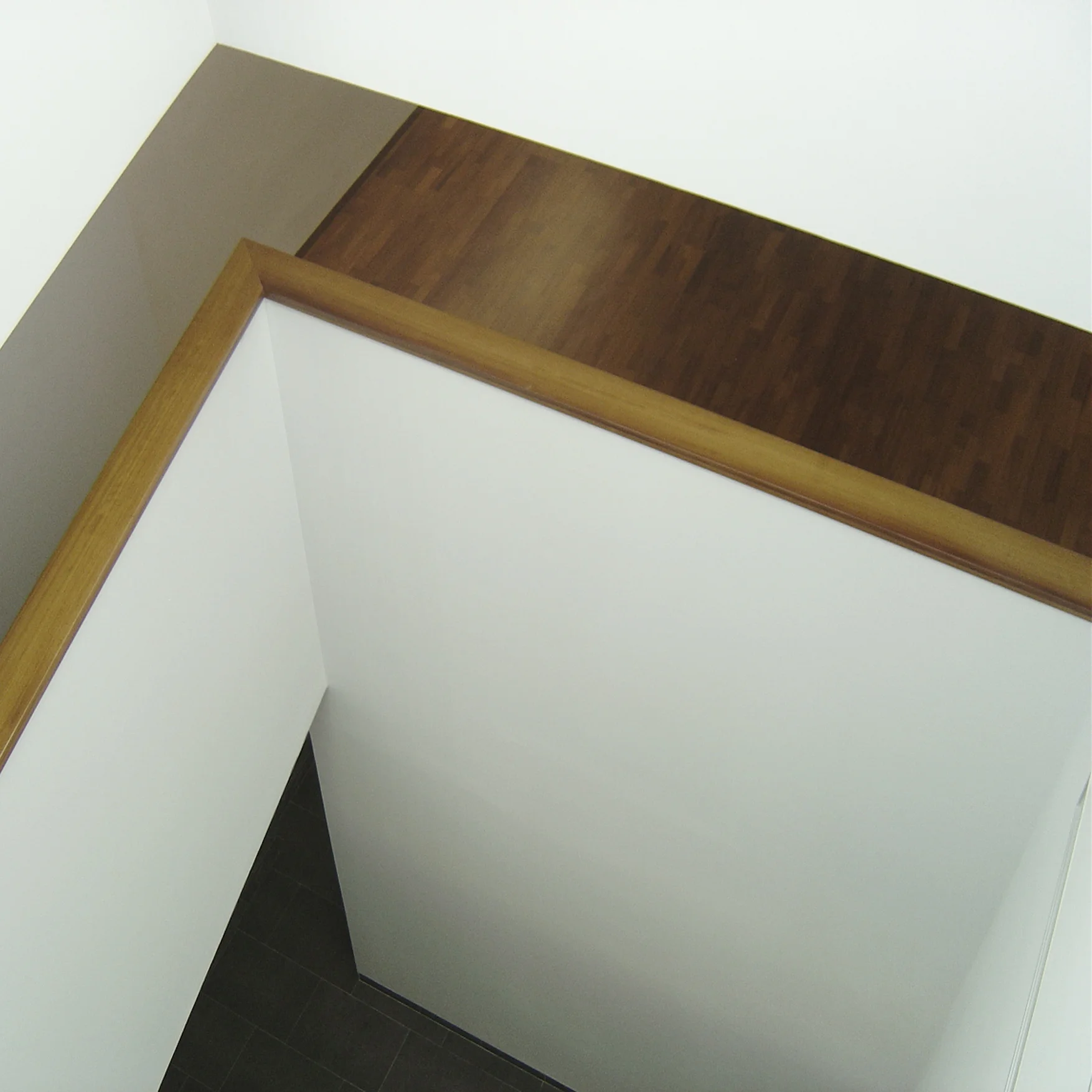 carlossalazararquitectos SPLT2.JPG