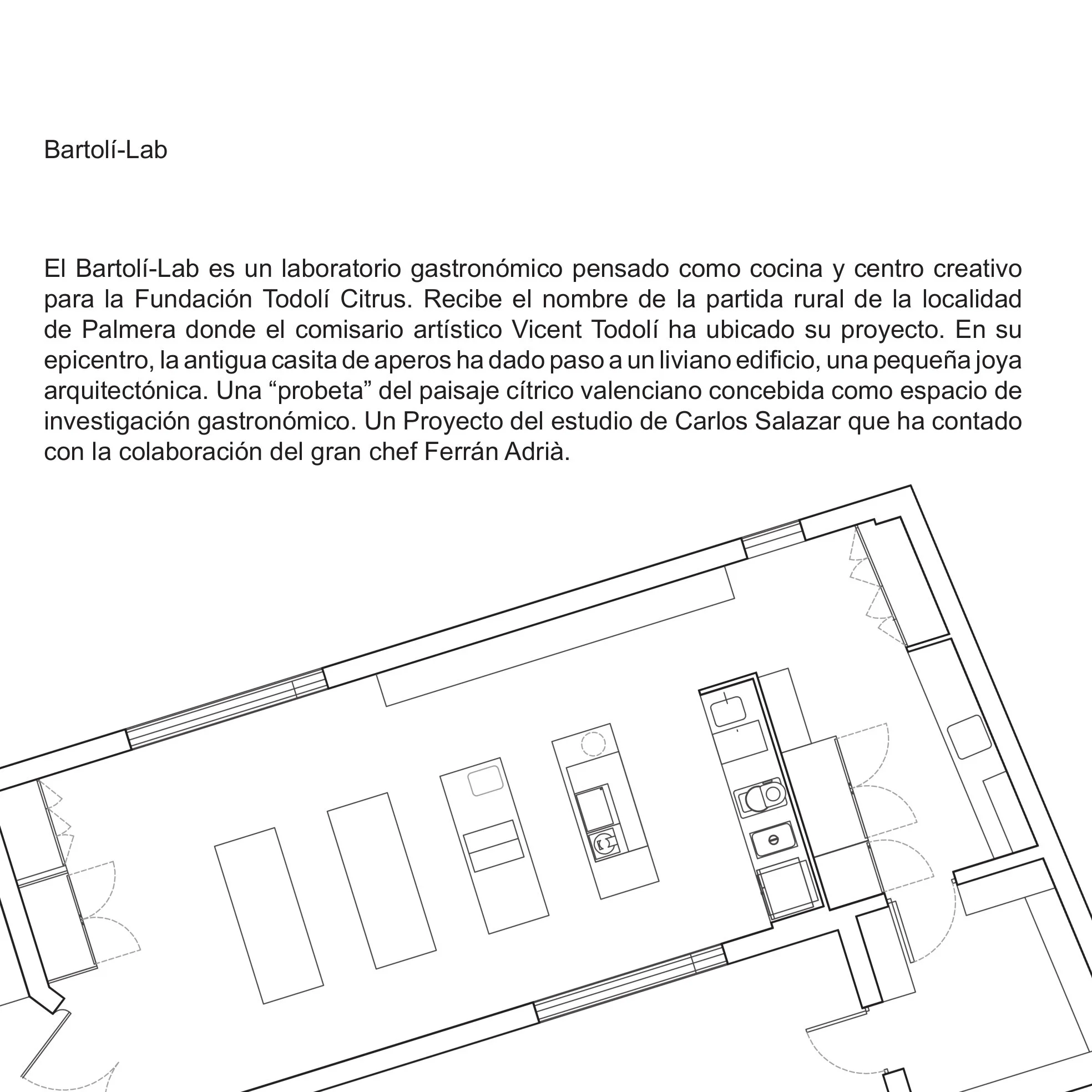 WEB_BARTOLILAB2 1.JPG