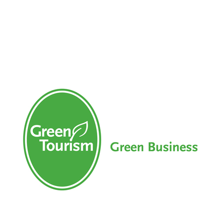 green-business-mark-up2.jpg