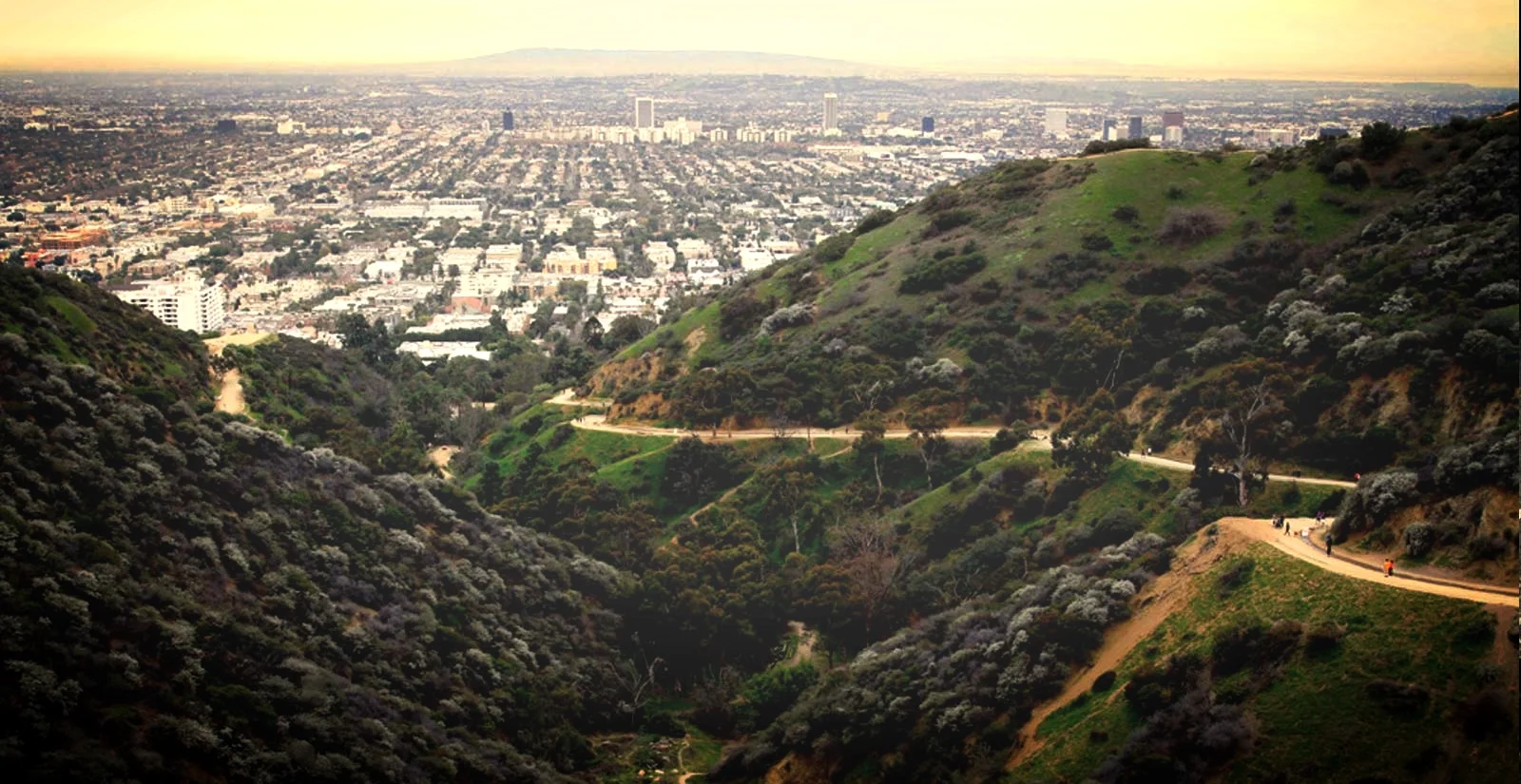 Guided Hike – Runyon Canyon