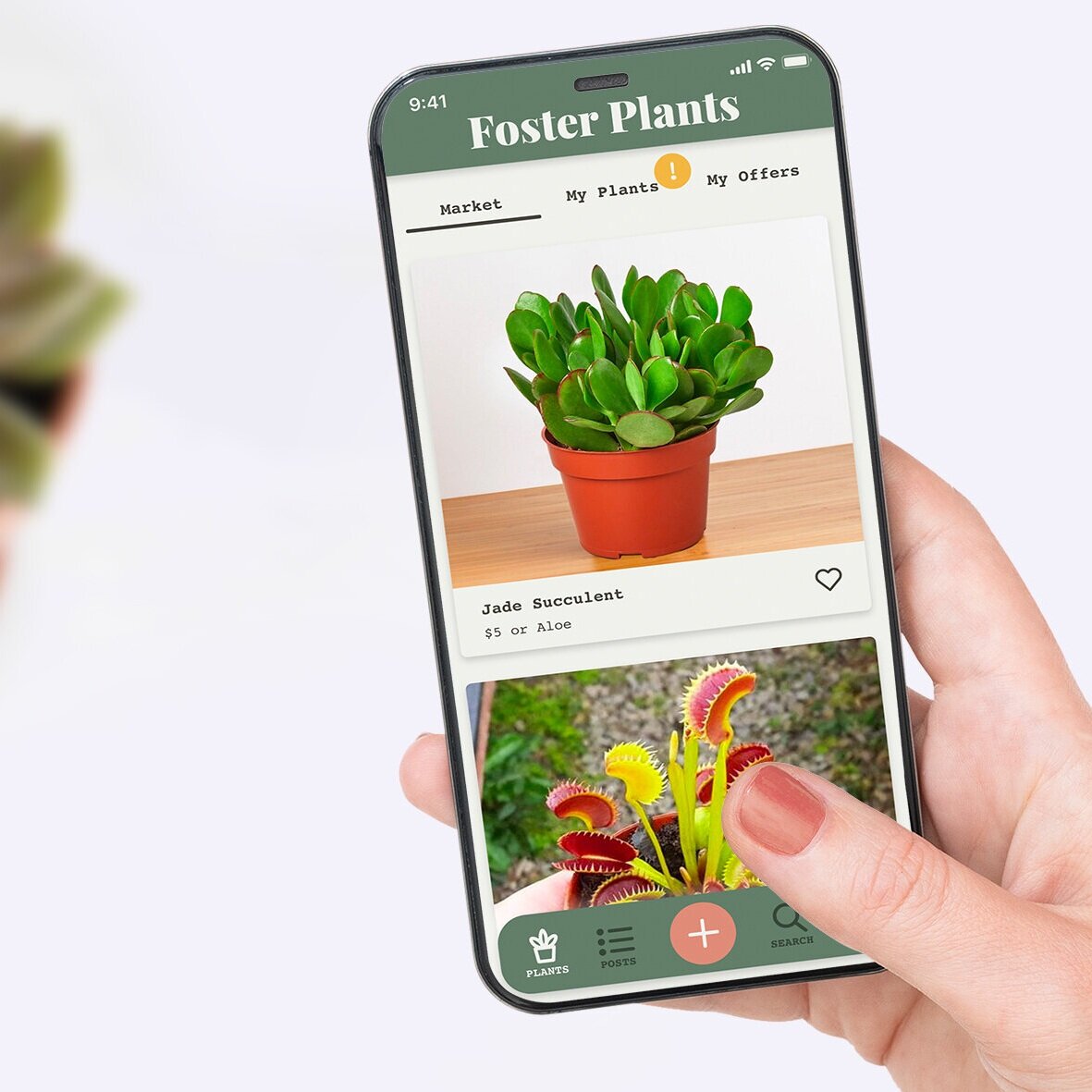 foster+plants+title+image+no+text.jpg
