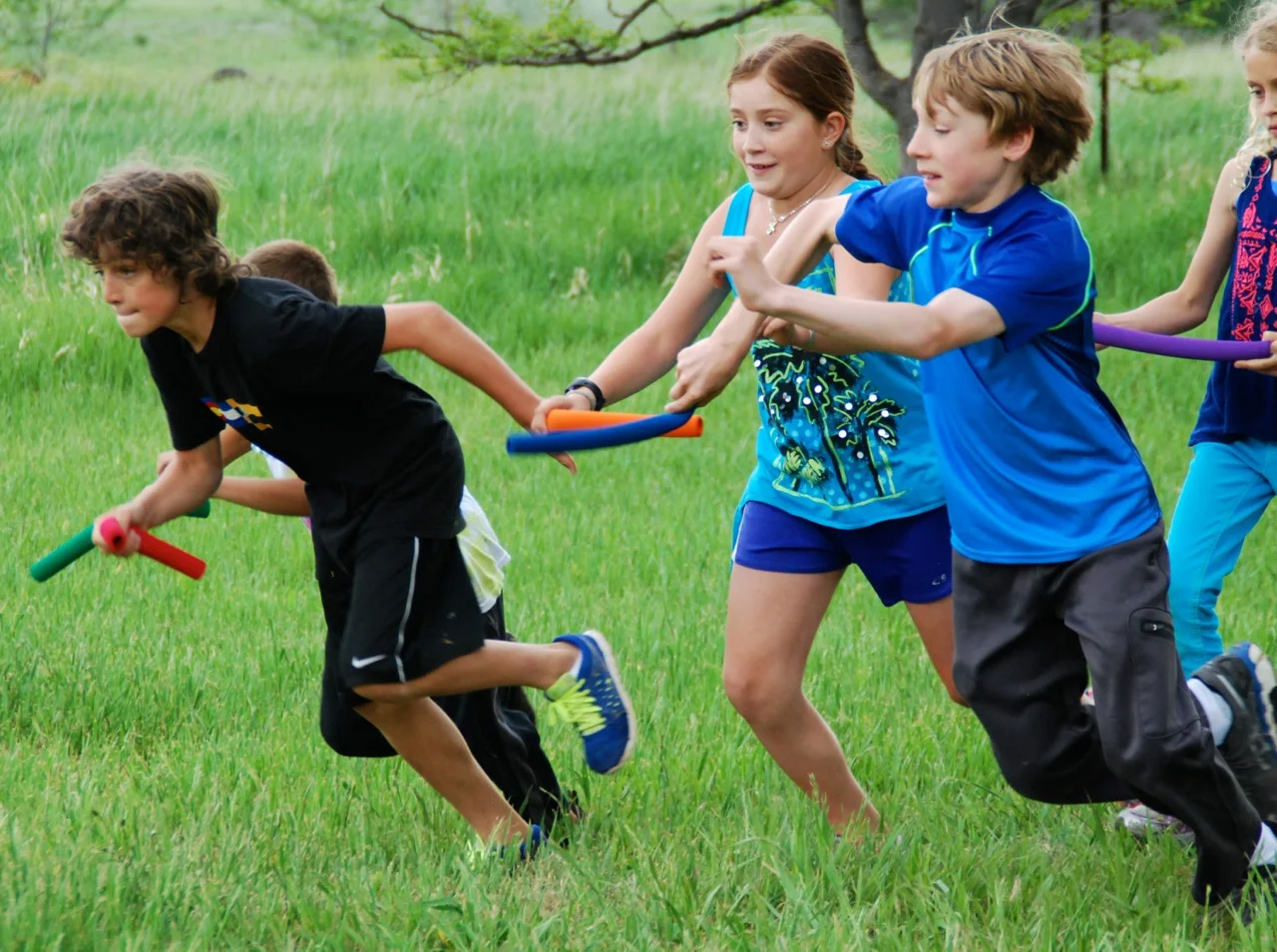 Field day.jpg