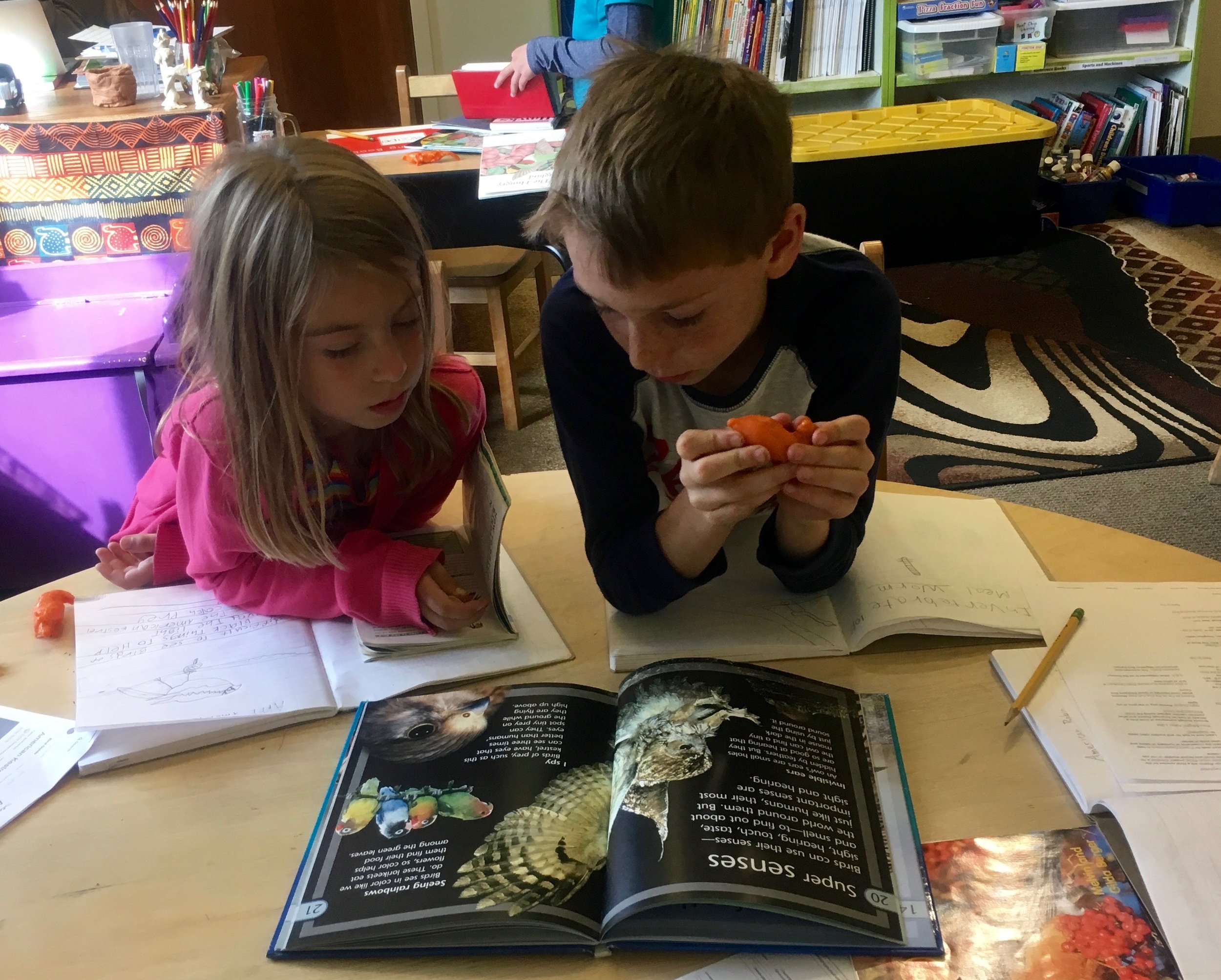 Students doing bird research