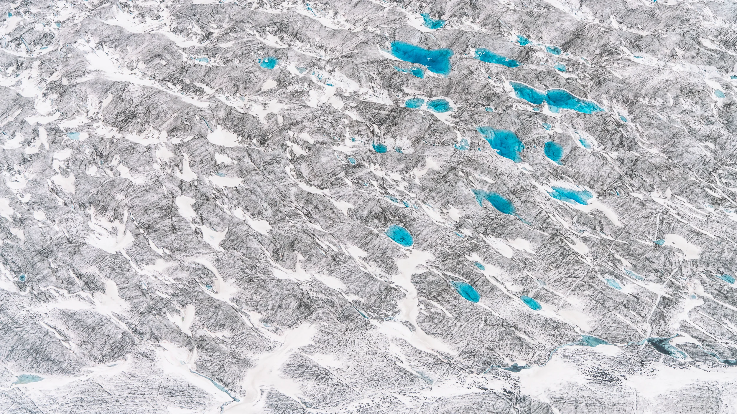 21-Denali guided-1186.jpg