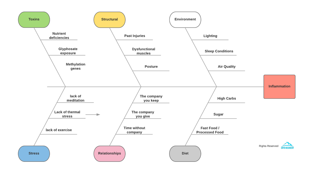Cause and Effect Diagram of Inflammation.png