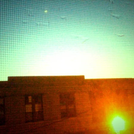 Wrens 2.0 (MyFaceTubeTwitFlickr)