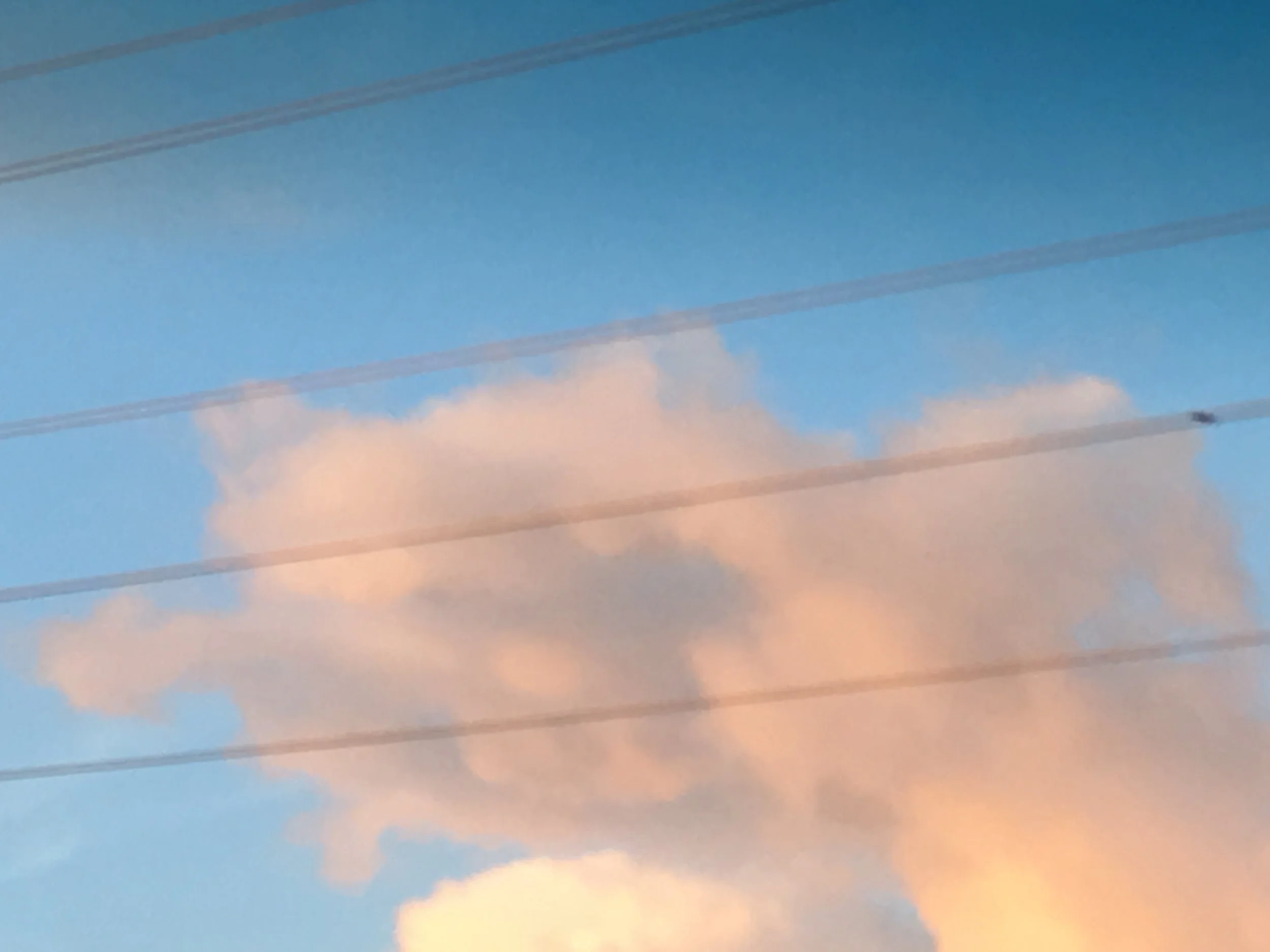 A Wren Among the Pornographers