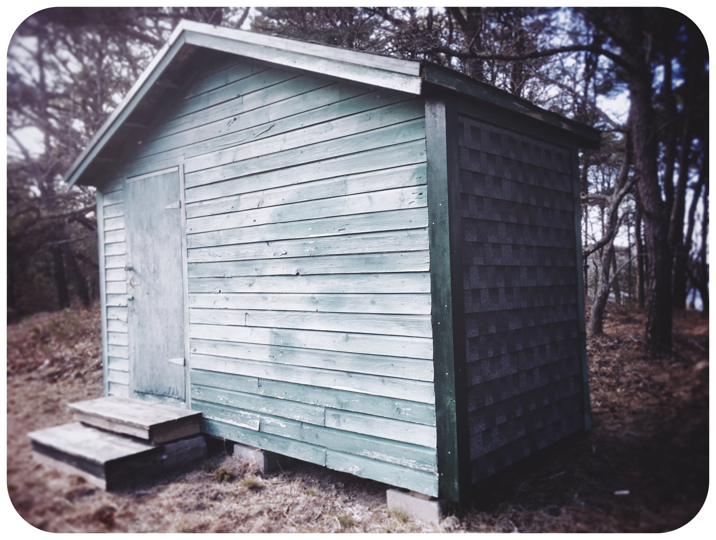 a fever for cabins &amp; sequels