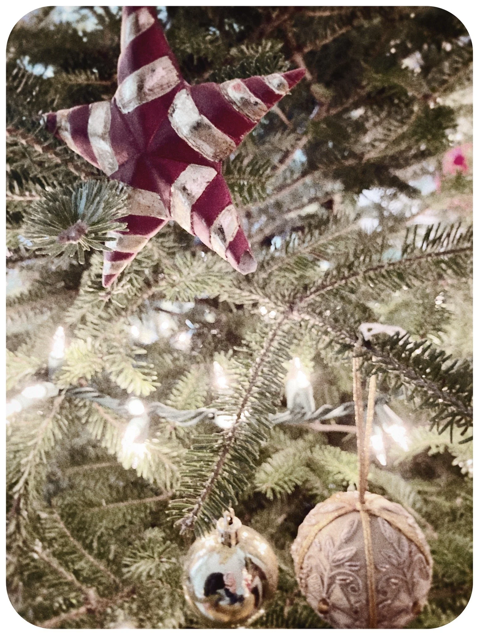 Need a last-minute holiday wrens-themed gift...?