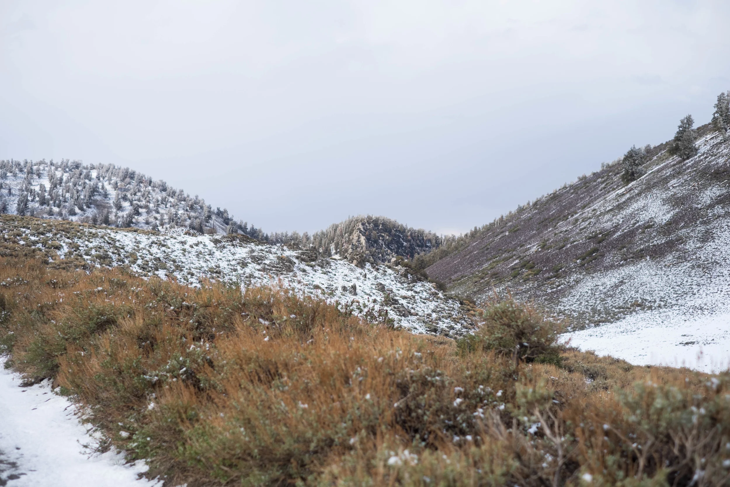 DSCF9570.jpg