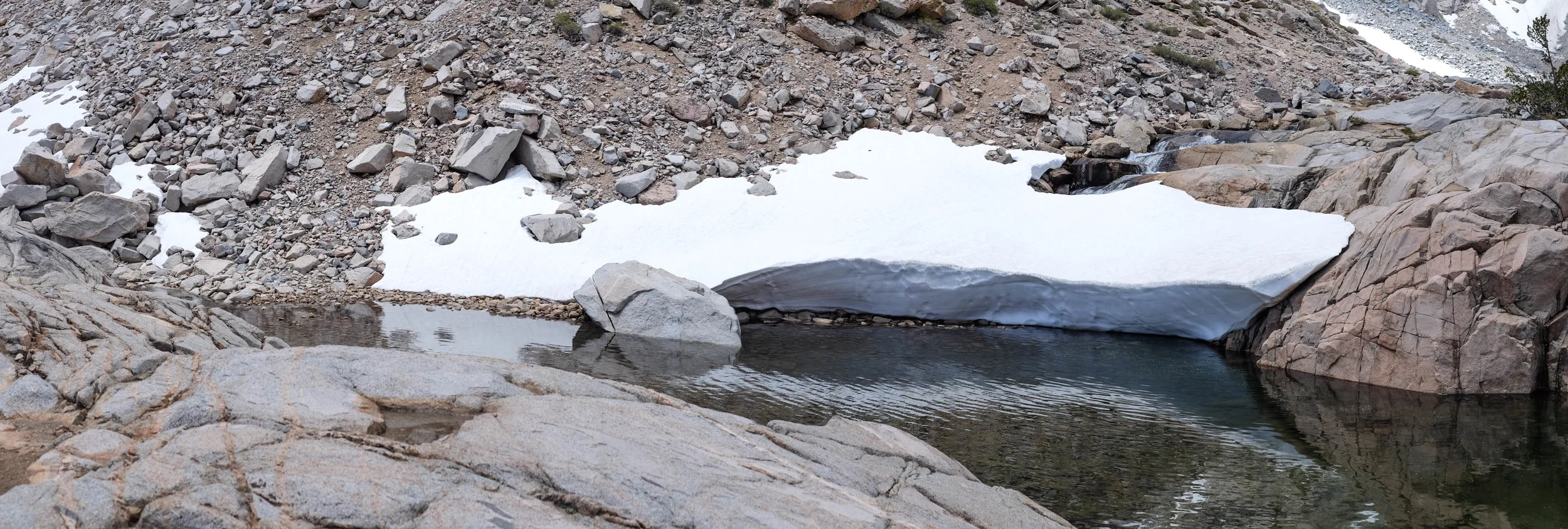 DSCF9829.jpg