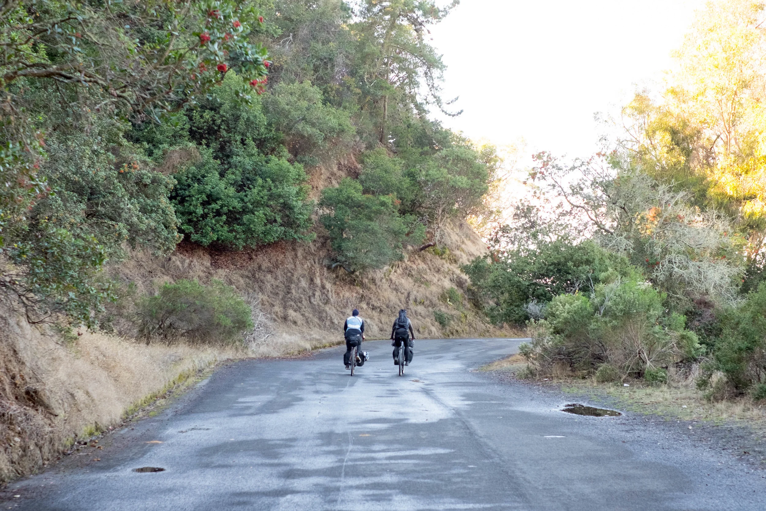 DSCF0576.jpg