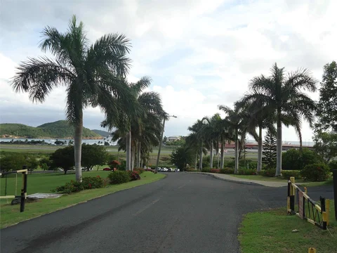 University of the Virgin Islands.jpg